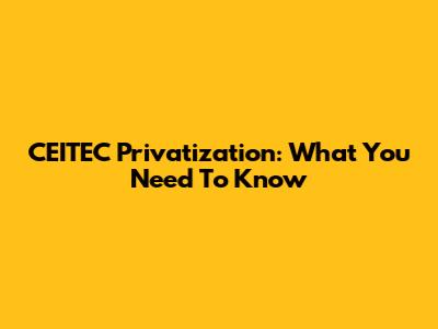CEITEC Privatization: What You Need To Know